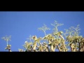 Lala Sackeus  - Ongula nonghuloshi  ( official  video  2017)