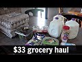 July 2019 $33 Grocery Haul