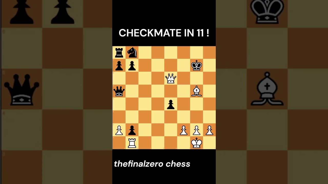 CHECKMATE in 11 Moves !!! chess 