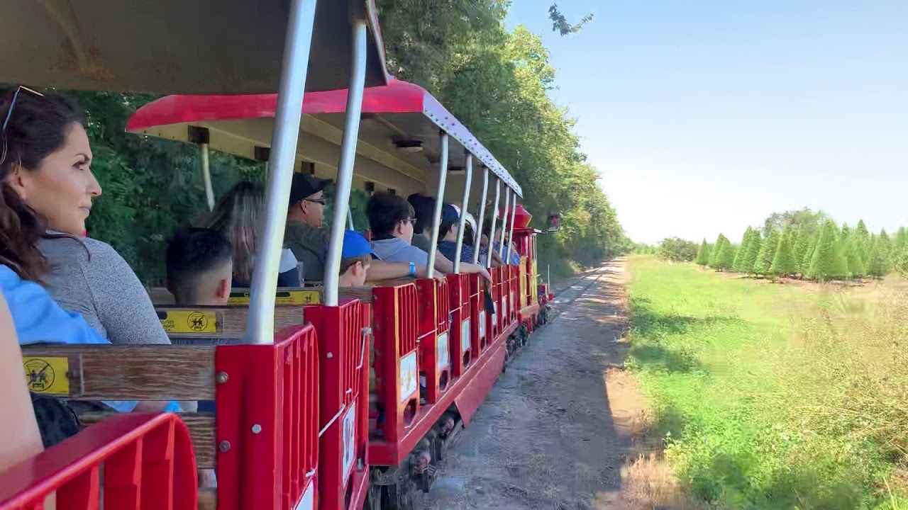 October 30, 2018 Dewberry Farm YouTube