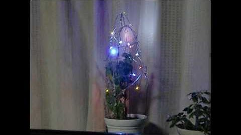 イルミネーション