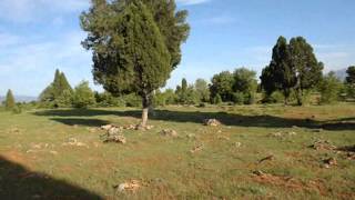 Yedi̇ Gardaş Şöleni̇ Şiirli Son