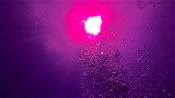 Deckard Croix - Quintessence (Official Video)