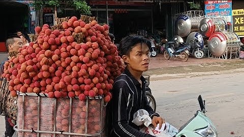 vải thiều lục ngạn giá vải Thanh Hà mới nhất ngày 13/6/2022 tại ngã ba Đồng Cốc