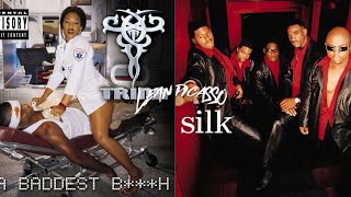 Trina x Silk - Pull Over My Bedroom (Mashup) Profile