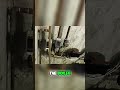 Plumber's Valve Nightmare: When DIY Goes Wrong in the Basement #shorts