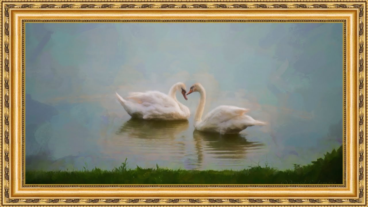 Luxury Swan Frame TV Art 🦢 | Gold Classical Painting | 4K WITH MUSIC