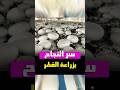 زراعة الفطر بالبيت إنتاج 300 كغ الزراعة المنزلية فطرة لايك بسهولة 98 938 342 0433 