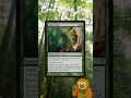 Gibbon's Card of the Day | Episode 6 | #MTG #magicthegathering