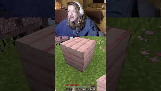 Lisa spielt zu ersten mal Minecraft ahah #clips #livestream