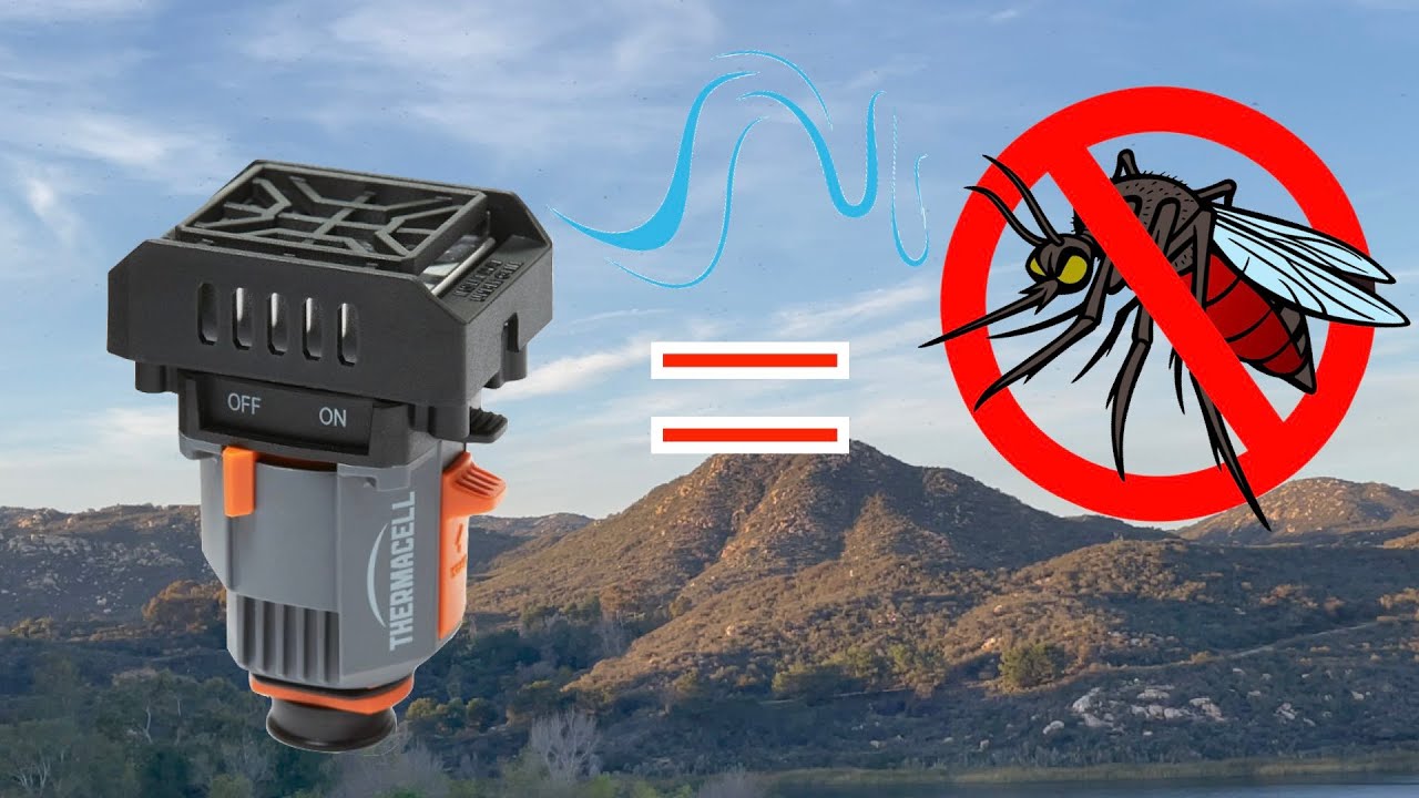 Keep Bugs Away with Thermacell YouTube