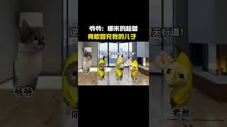 爸爸到底贪了多少#cheems #猫meme #搞笑 #funny #熱門