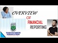 Financial reporting overview  understanding financial reporting basics  fundamentals governance