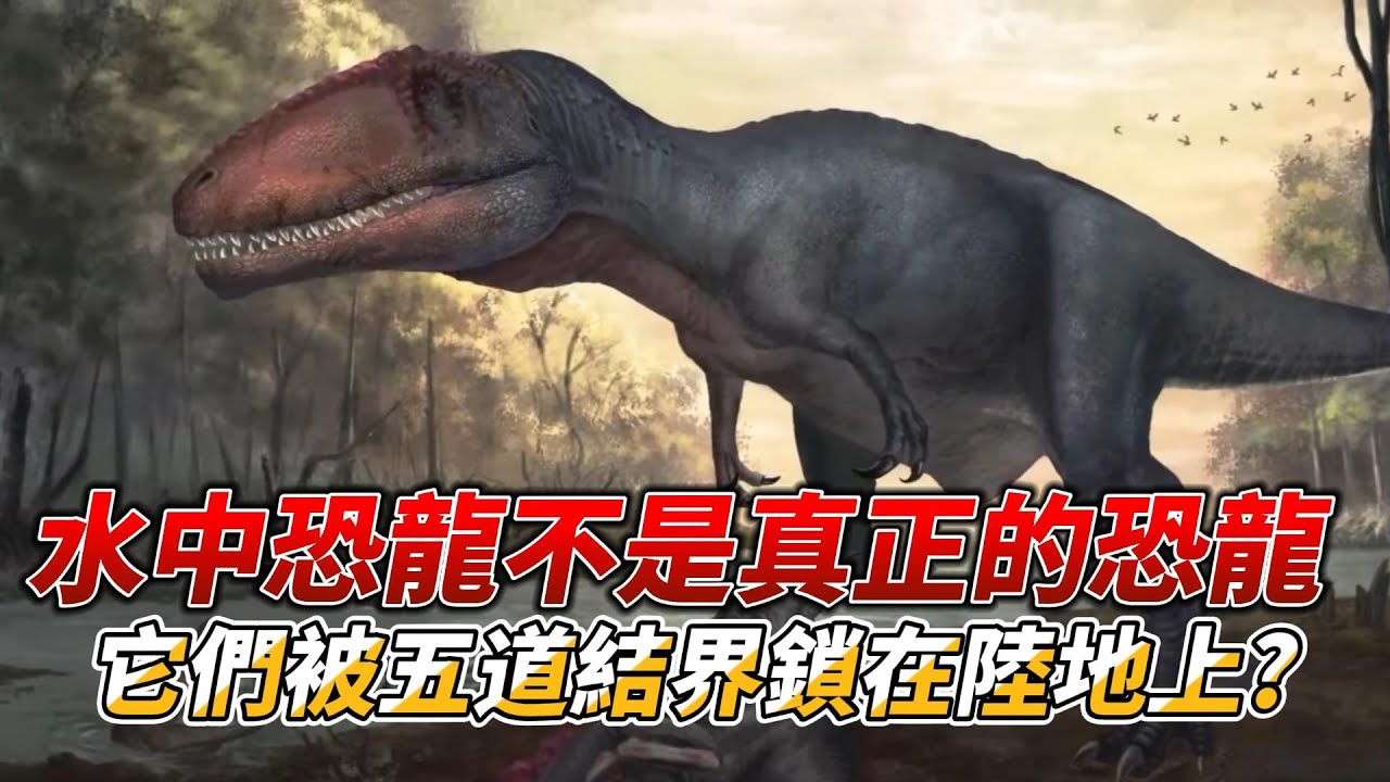 水中恐龍不是真正的恐龍,它們被五道結界鎖在陸地上！