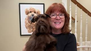 SVCC Schnauzers Vlog & Puppy Feeding Update on May 4, 2024