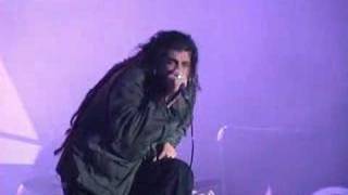 Ill Nino  -  I am loco