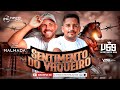 VILMAR SANTOS SHOW feat ZÉ MALHADA - SENTIMENTO DO VAQUEIRO - @NINHOCDs