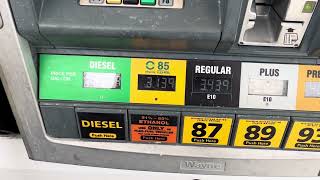Gas Prices Wesley Chapel FL