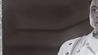من اول يوم في لقانا عامر منيب