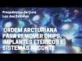 Frequncia 12 12   ordem arcturiana para remover chips implantes etricos e sistemas arconte