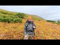 Exploring Alaska’s Mountain Side - Camping, Scouting Ptarmigan &amp; Foraging Wild Berries