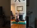 5 Yoga Exercise Pose For Restoration 🧘🏻 | #yogaskills #yogaexercise #yogagirl #yoga