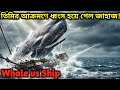 একটি তিমি কীভাবে ডুবিয়ে দিল পুরো জাহাজ? |Essex ship |  Essex ship documentary bangla