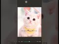 Maaf soalnya aku bikin nya tadi tapi makasih ya makin naik bakalan ikutin vidio dari komentar yo