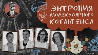 Энтропия молекулярного котангенса. Семинар №4