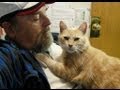 Taming a feral TOM CAT with patience and kindness