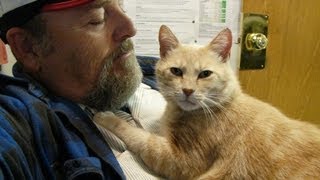 Taming a feral TOM CAT with patience and kindness