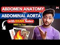 Abdomen Anatomy- Abdominal Aorta | MBBS 1st Year | Full Explanation with Exam Notes | MBBS World