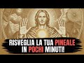 Pochi Minuti Per ATTIVARE la Pineale