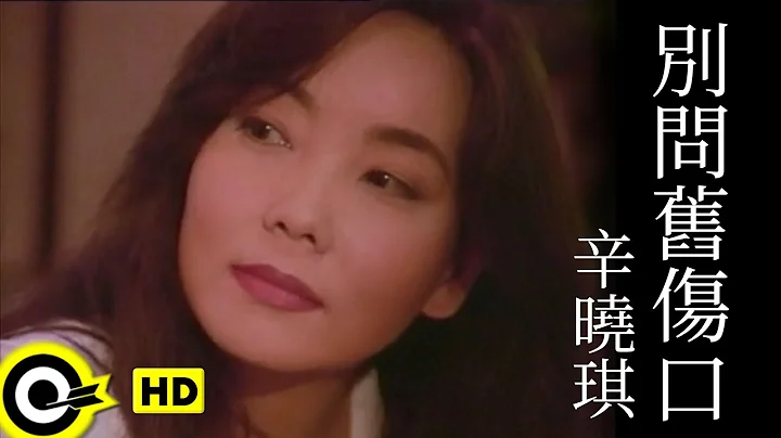 辛曉琪 Winnie Hsin【別問舊傷口 Don't touch the scar】Official Music Video - 天天要聞