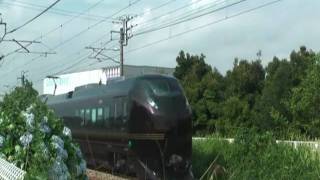 ２０１０年６月３０日　Ｅ６５５系　なごみ　②