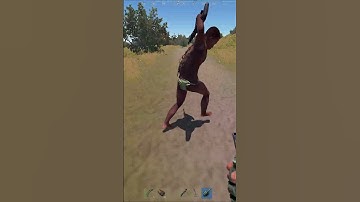 Rust in a Nutshell XD #rust #rustgame #gaming