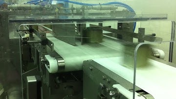 XE3H with dual flipper reject system