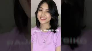 Download Lagu joget cewek tiktok DJ raja Mexico x windah Basudara MP3