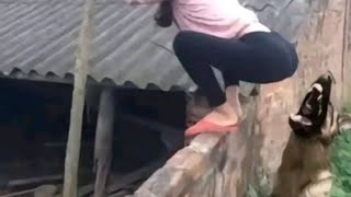 Shitpost Compilado TENTE NÃO RIR É O MAIS ENGRAÇADO #19