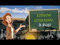 Корисні копалини, їх види 🌎 Природознавство 4 клас