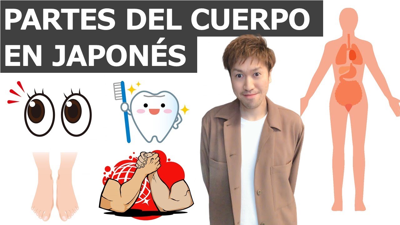 Partes del cuerpo en Nihongo (Clase de japonés, día 16)