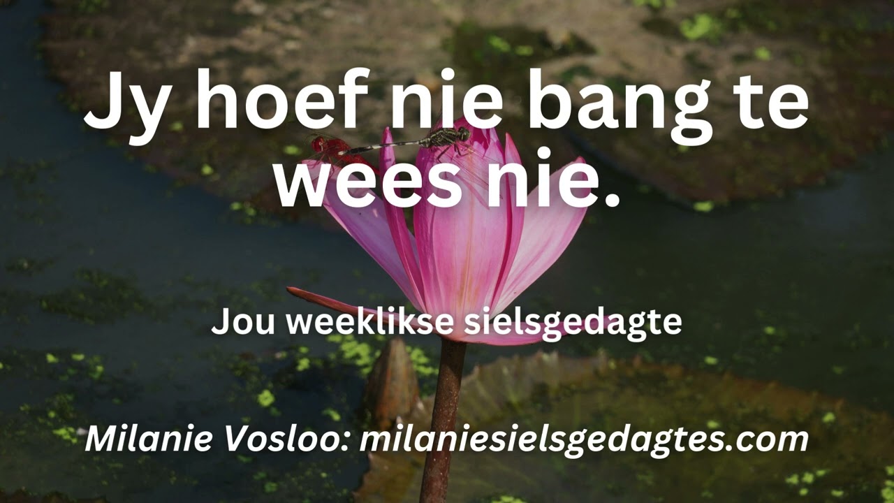 Sielsgedagtes met Milanie Vosloo | 26 JAN - 01 FEB 2026