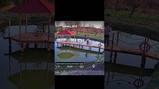 Kamera IP z komunikatami dźwiękowymi w języku polskim. Wyznaczenie obszaru!