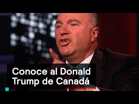 Vídeo: Las Mujeres Estadounidenses Que Quieran Mudarse A Canadá Si Trump Gana Pueden Leer Esto Primero - Matador Network