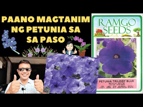 Video: Paano Magtanim Sa Iyong Tinedyer Ng Isang Pag-ibig Sa Pagbabasa