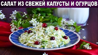 КАК ПРИГОТОВИТЬ САЛАТ ИЗ СВЕЖЕЙ КАПУСТЫ И ОГУРЦОВ Вкусный капустный салат с яйцом и огурцами