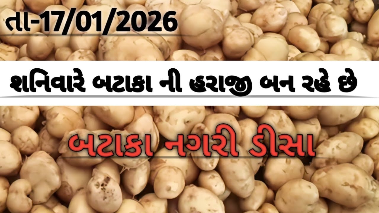 શનિવારે બટાકા ની હરાજી બન રહે છે //deesa bataka haraji//डीसा आलु मंडी 