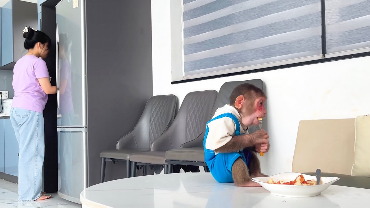 So Excited 😋 CUBIS Can’t Get Enough of Aunt’s Tofu Tomato Soup