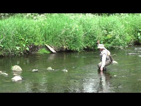 UpstreamDryFly2- Mayfly strike back