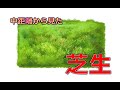デジタル風景画　自然物：芝生の描き方！【中景】How to draw a lawn!